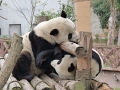CHINE_2011 (206)